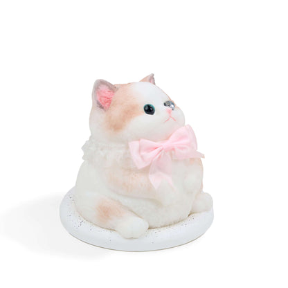 Squishy de gato gordito de silicona